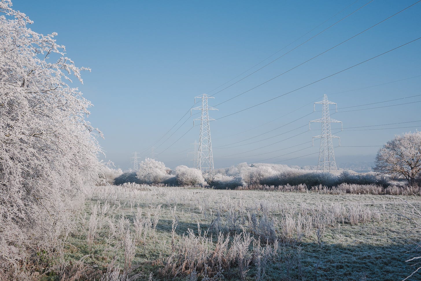 A frosty field where the trees around the edges are covered in white frost and the powerline pylons are also white and frosty.
