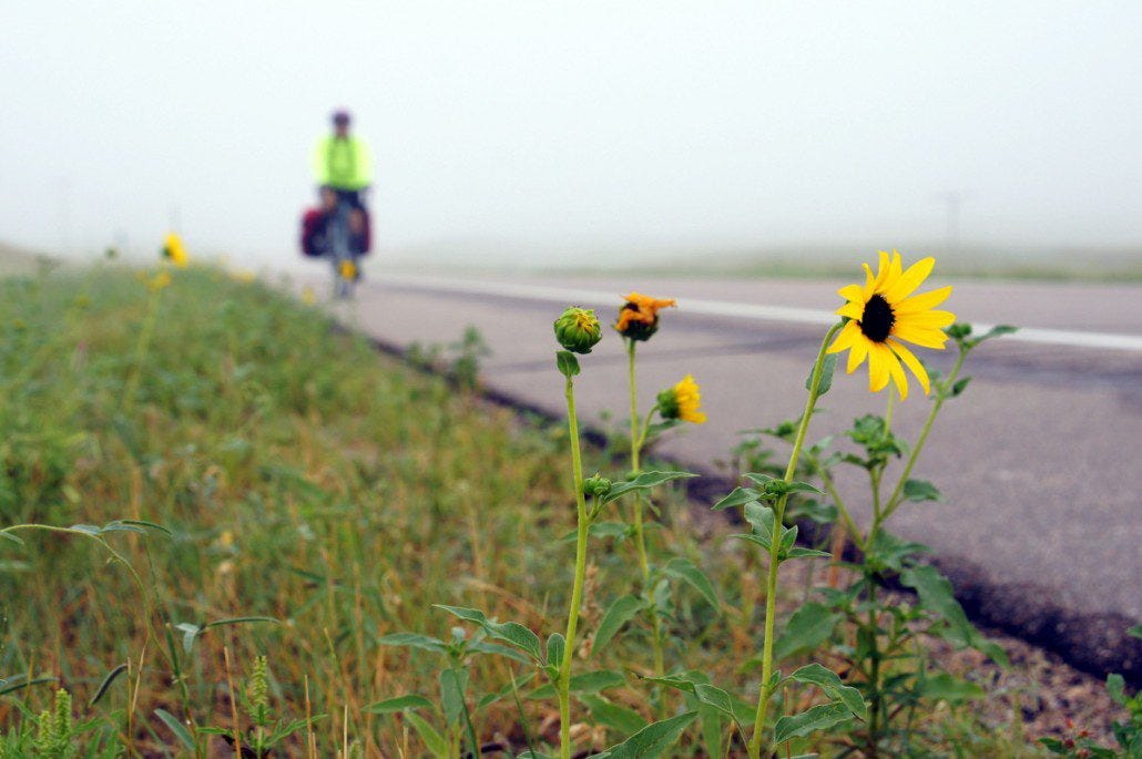 Chelsea cuts through fog on a quiet, eerie morning in the Sand Hills of Nebraska.