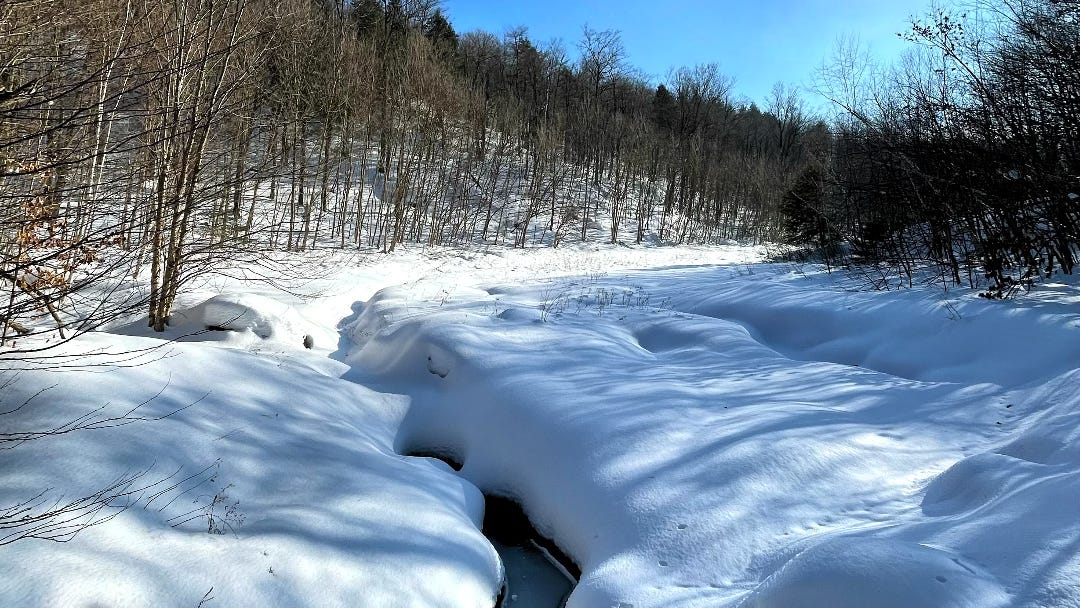 a beautiful quiet landscape of a thick layer of snow, bare trees, and a blue sky