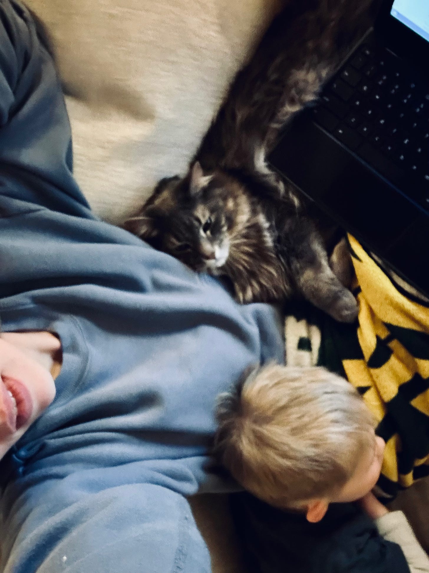 A selfie of Kaitlyn from above. Her kid, cat, and laptop are all in her lap.