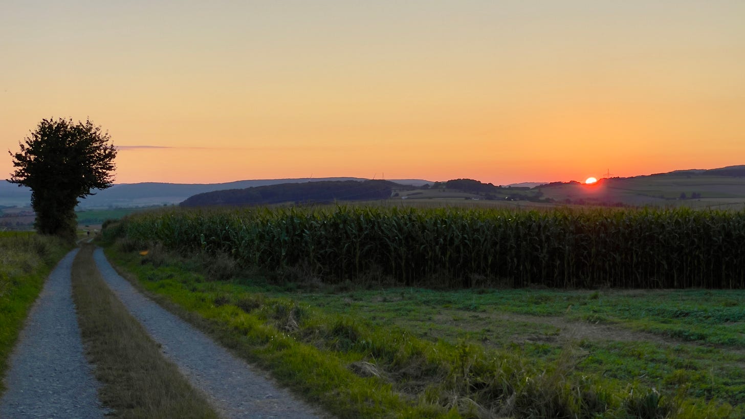 Sunset over a countryside landscape with a gravel path leading between cornfields and gently rolling hills, capturing the tranquility of the rural evening scene. Einbeck, Germany by Jay Siegmann