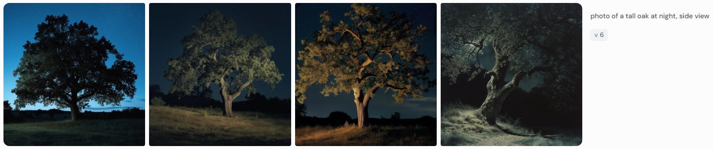 Midjourney 4-image grid for “photo of a tall oak at night, side view”