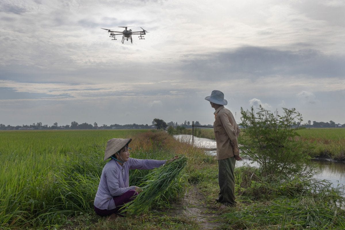 Farmers in vietnam using drones for rice farming