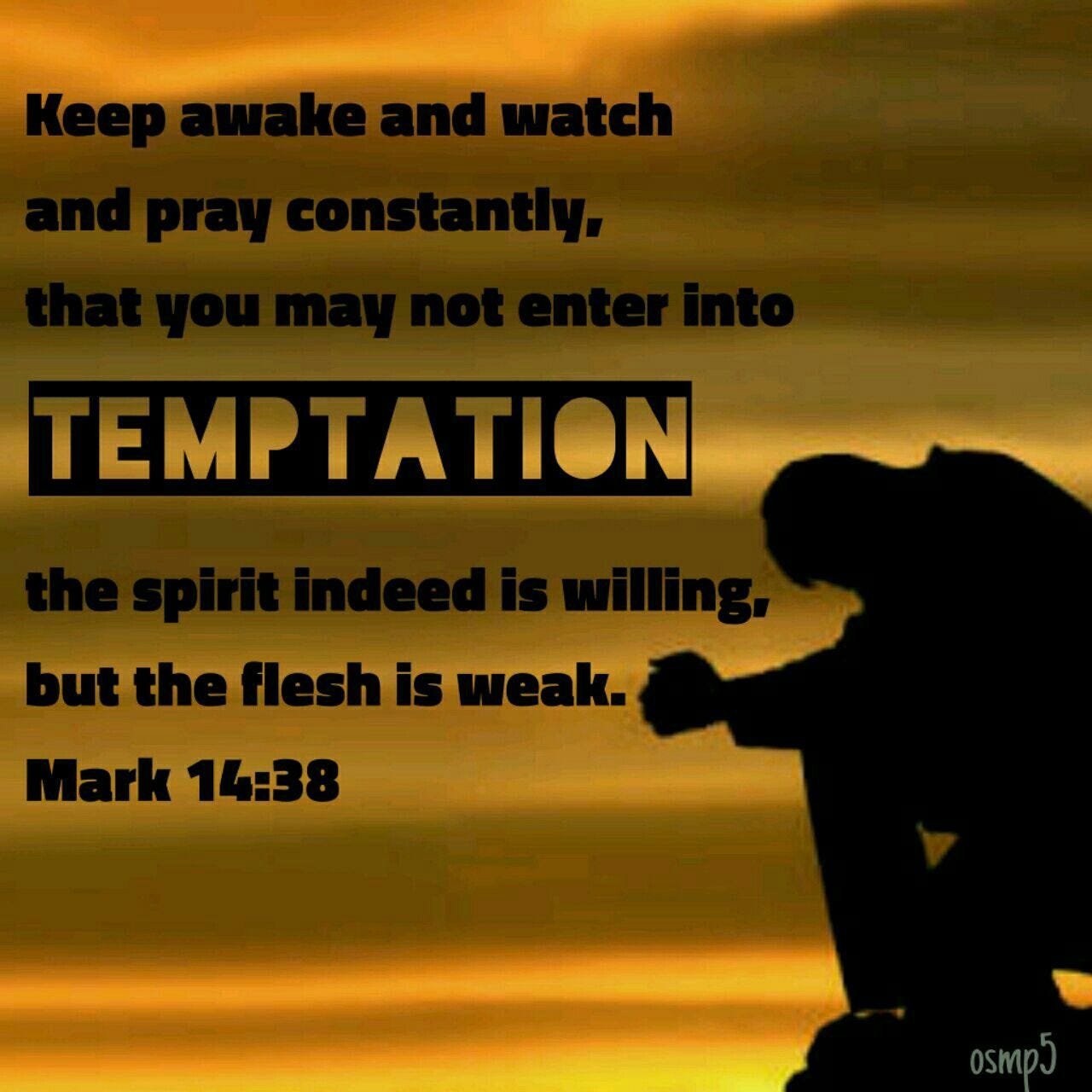 Mark 14:38 And lead us not into temptation.. | Encouragement quotes, Bible text, Word of god