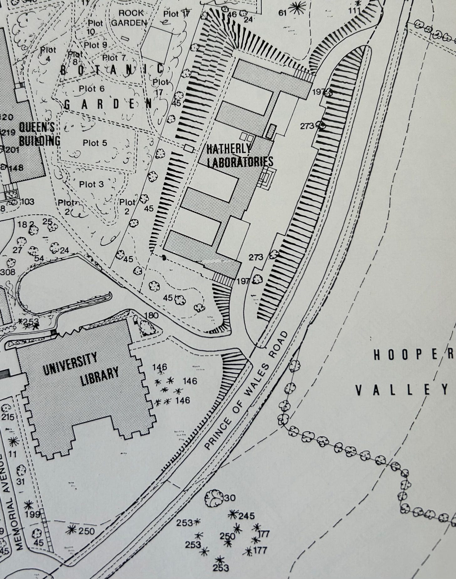 Old map with numbered trees around University of Exeter buildings