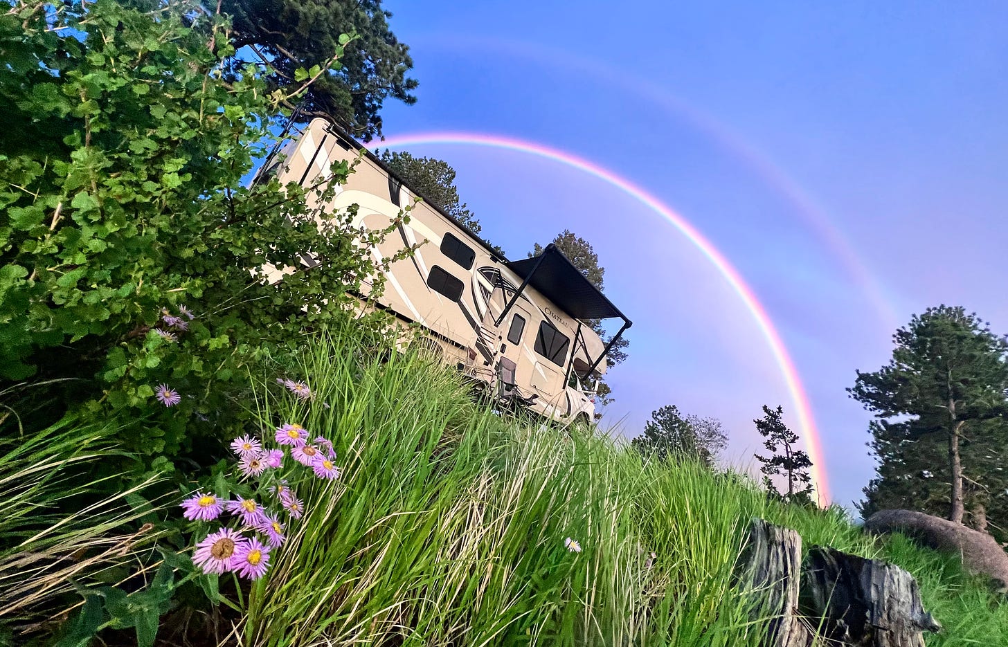 Photo of a 2017 thor chateau in a green field with purple flowers under aa double rainbow