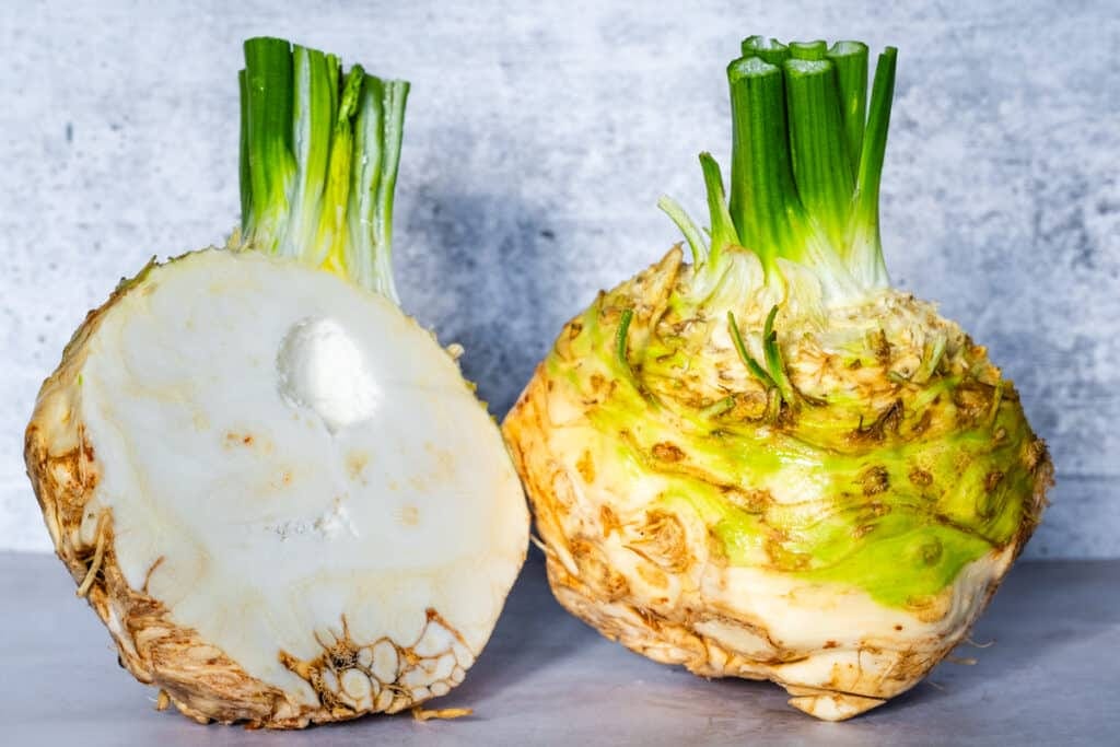 a cross section of a celery root. Cleveland Cooking