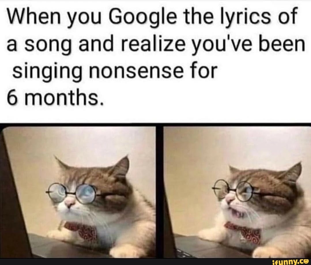 When you Google the lyrics of a song and realize you've been singing nonsense for 6 months.