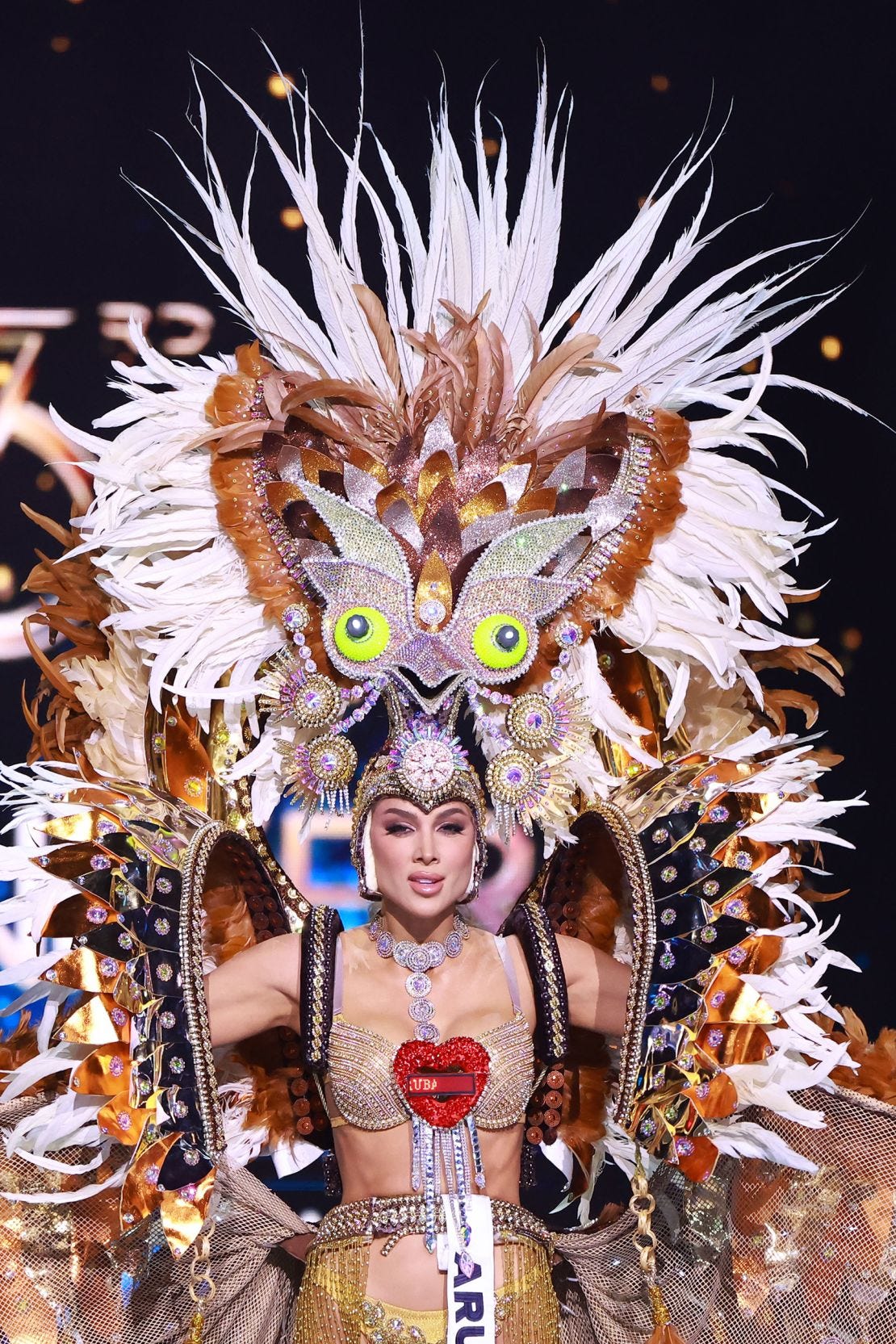 Miss Aruba, Anouk Eman, came dressed as an endangered Aruban burrowing owl.