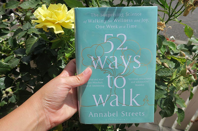 A hand holding the book '52 Ways to Walk' by Annabel Streets.