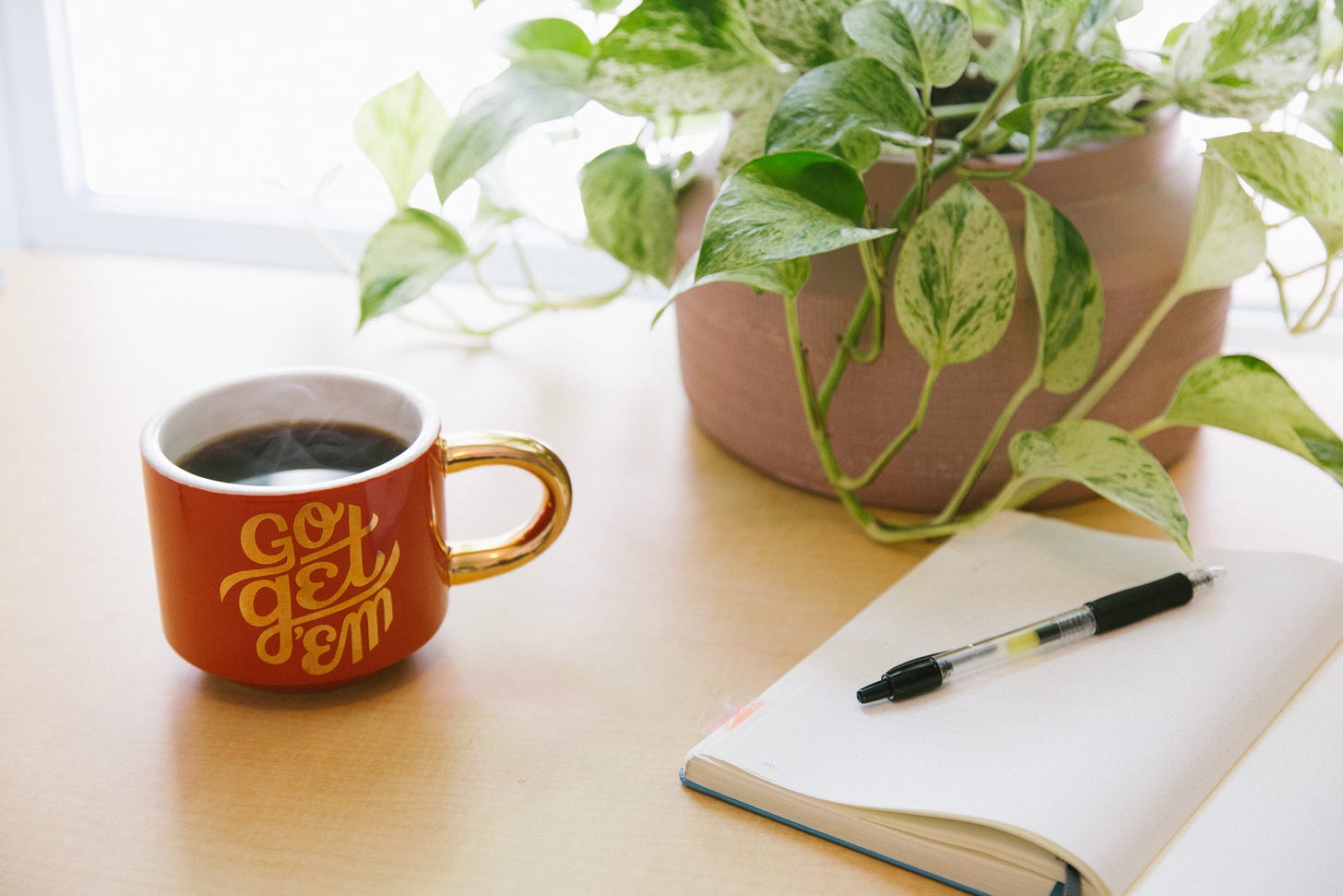 Sun streams through a window onto a tabletop. On the tabletop: a mug of coffee that bears a message of "Go Get 'Em," a healthy green potted plan plant, and an open journal with pen.