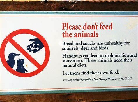 Don't Feed the Animals - Diet Doctor