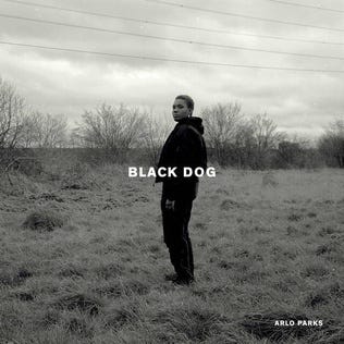 Black Dog (Arlo Parks song) - Wikipedia