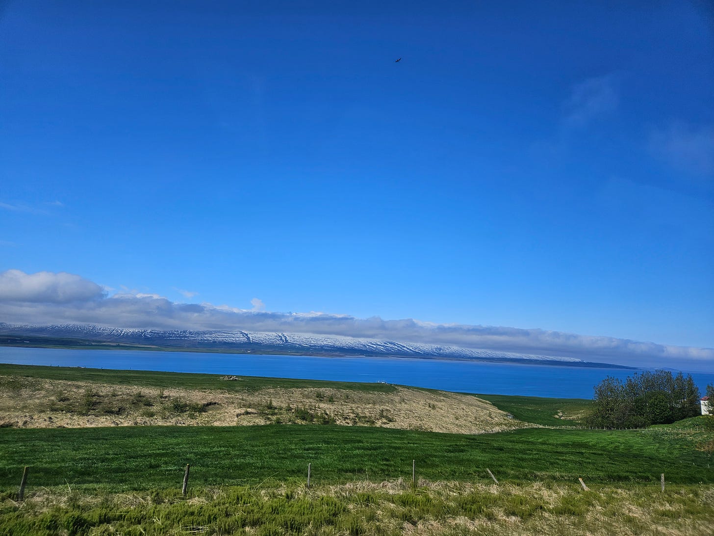 beautiful fjord in iceland with blue water, green grass and snow capped mountain in the background