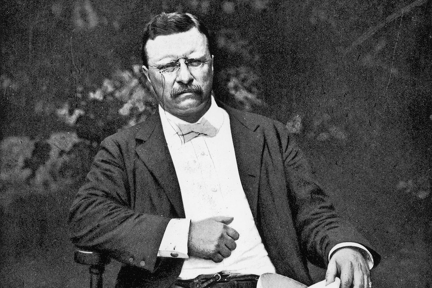 Theodore Roosevelt While President Might Best Be Described as ...