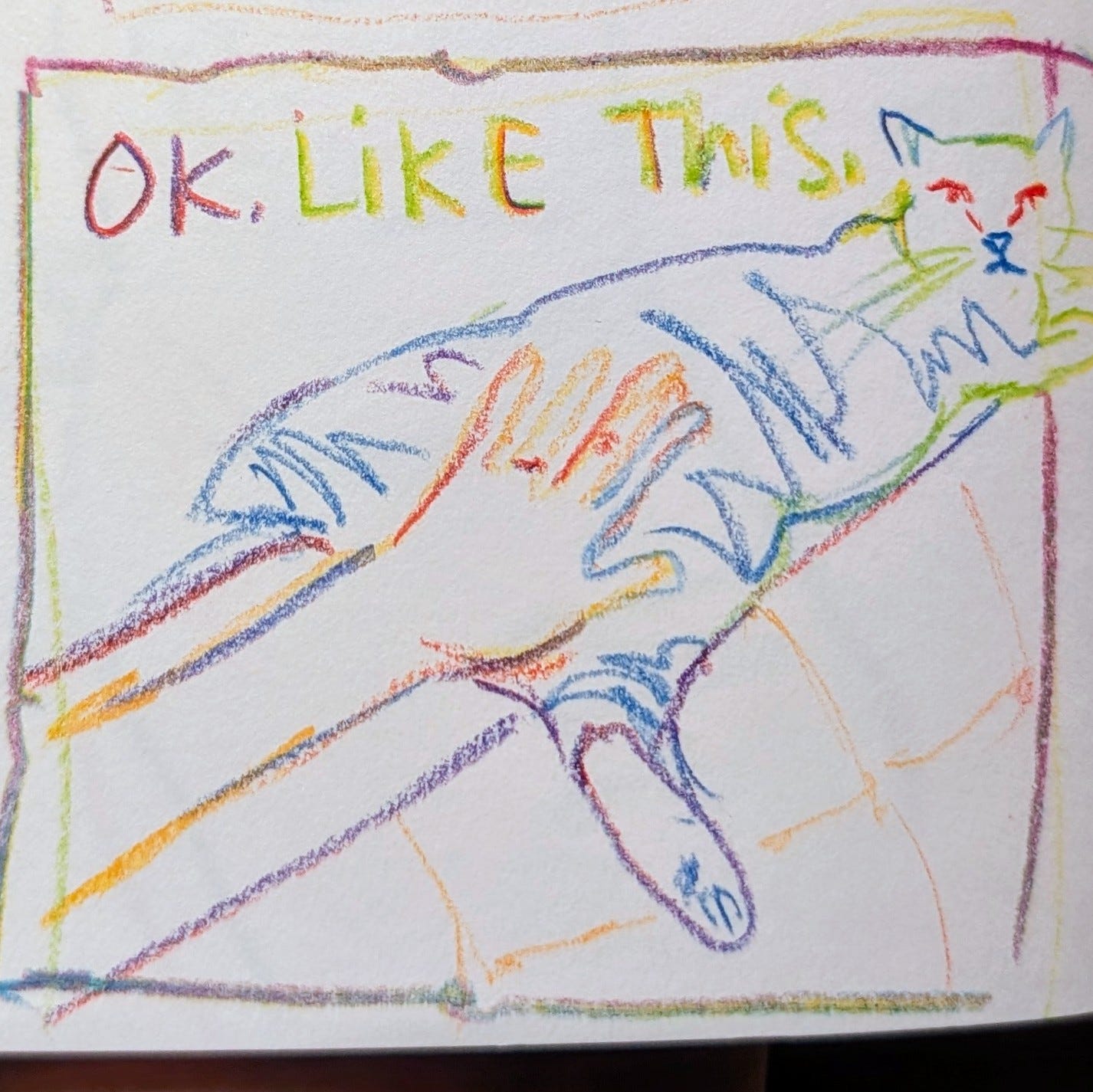 cat drawing