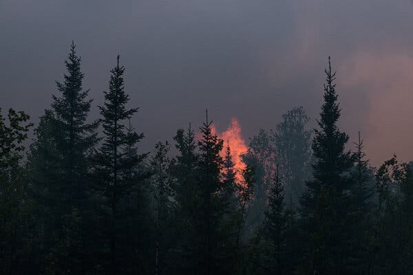 A fire shoots up in the distance behind a line of evergreen trees.