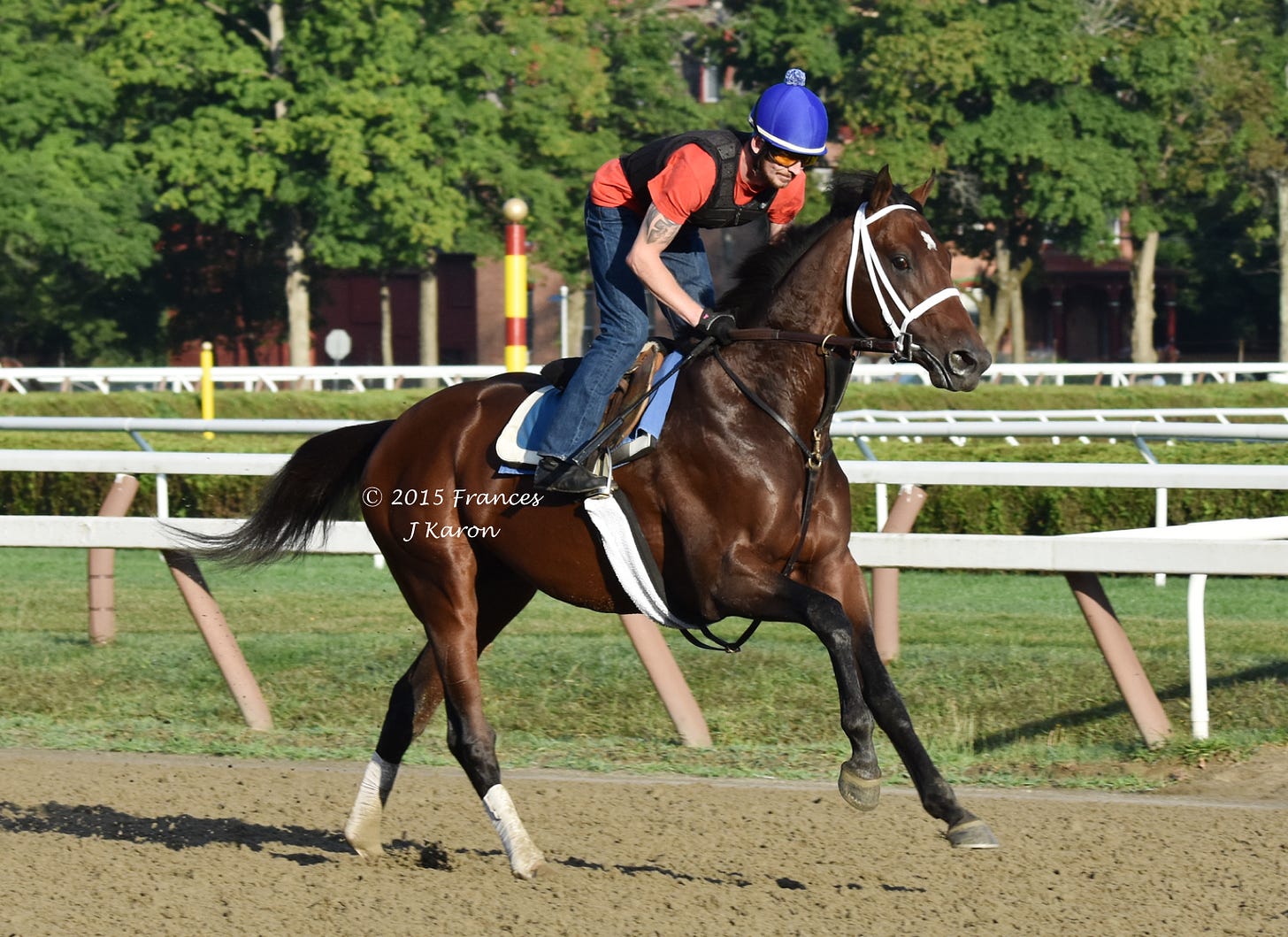 Jess’s Dream galloping at Saratoga as a three-year-old, less than two weeks before making his winning debut. Kiaran McLaughlin trained him.