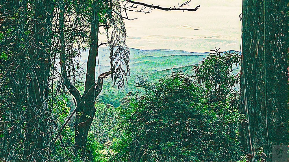 Digital 'painting': view between trees to a vista of layered hills