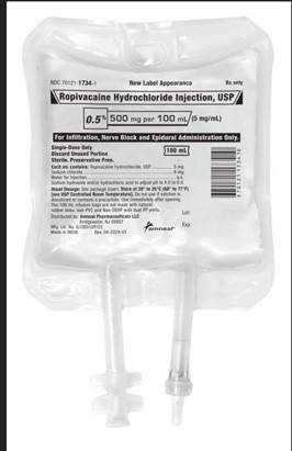 Back of bag, Ropivacaine Hydrochloride Injection, USP, 500mg/100mL