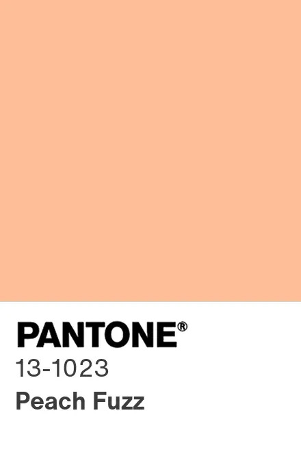 Color Chip PANTONE 13-1023 TCX Peach Fuzz