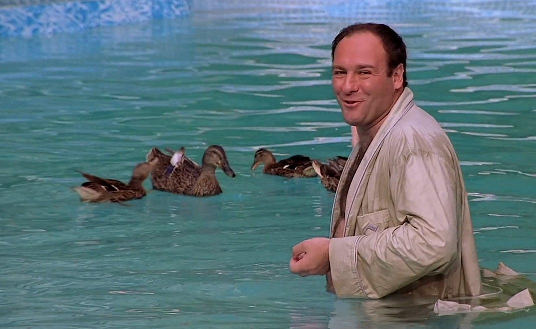 A screenshot from the Pilot of The Sopranos with James Gandolfini as Tony Soprano standing fully clothed in his backyard pool smiling while feeding ducks