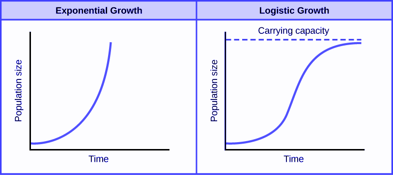 Exponential growth vs logistic growth