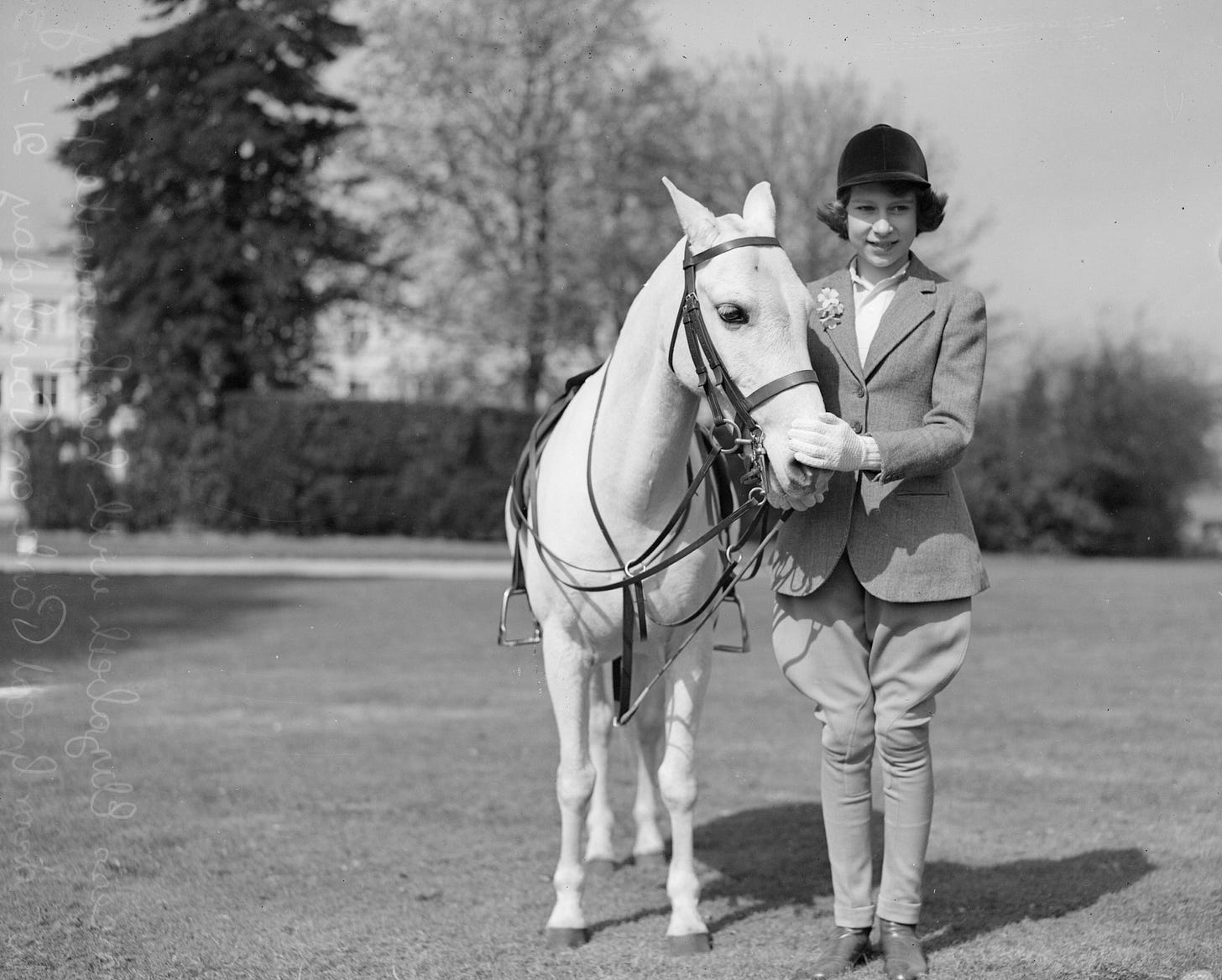 Queen Elizabeth loved horses, not just corgis. We need to ...