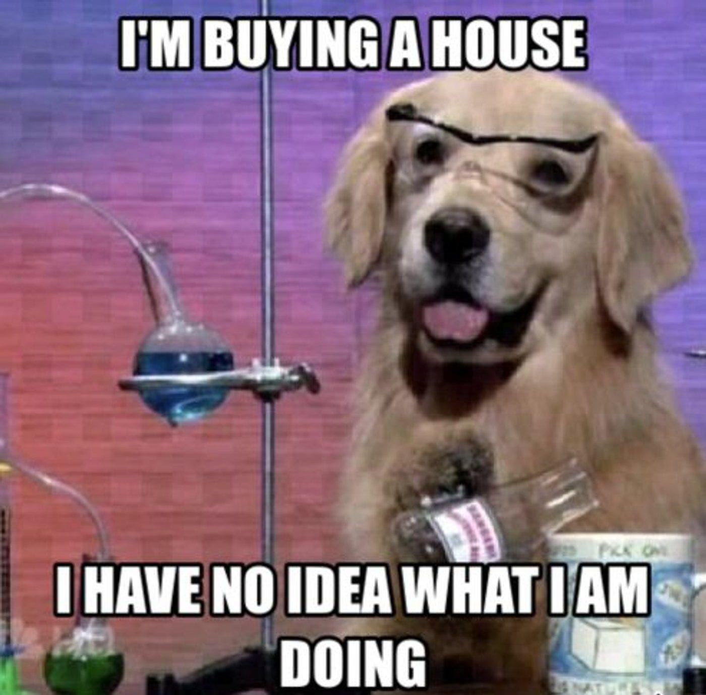 100 Best Real Estate Marketing Memes That Will Make You Laugh Out Loud