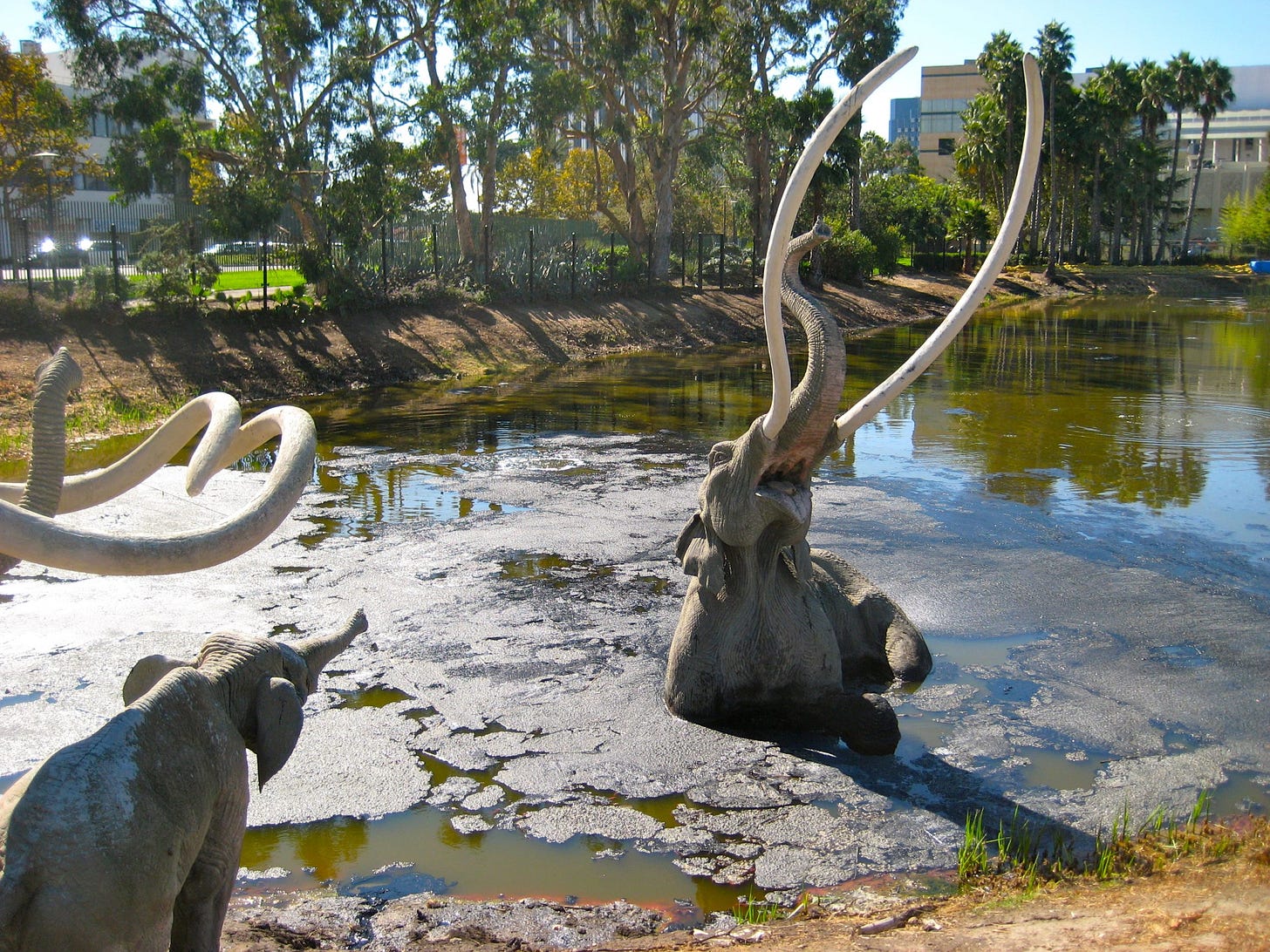 Deathstination: The LaBrea Tar Pits | The Order of the Good Death