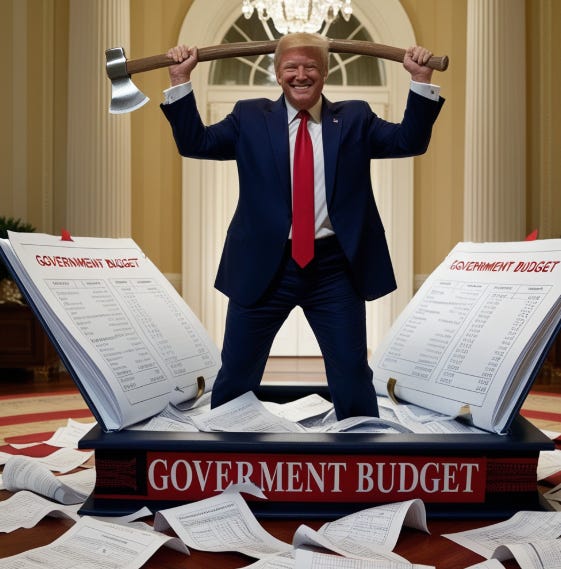 trump with spending axe