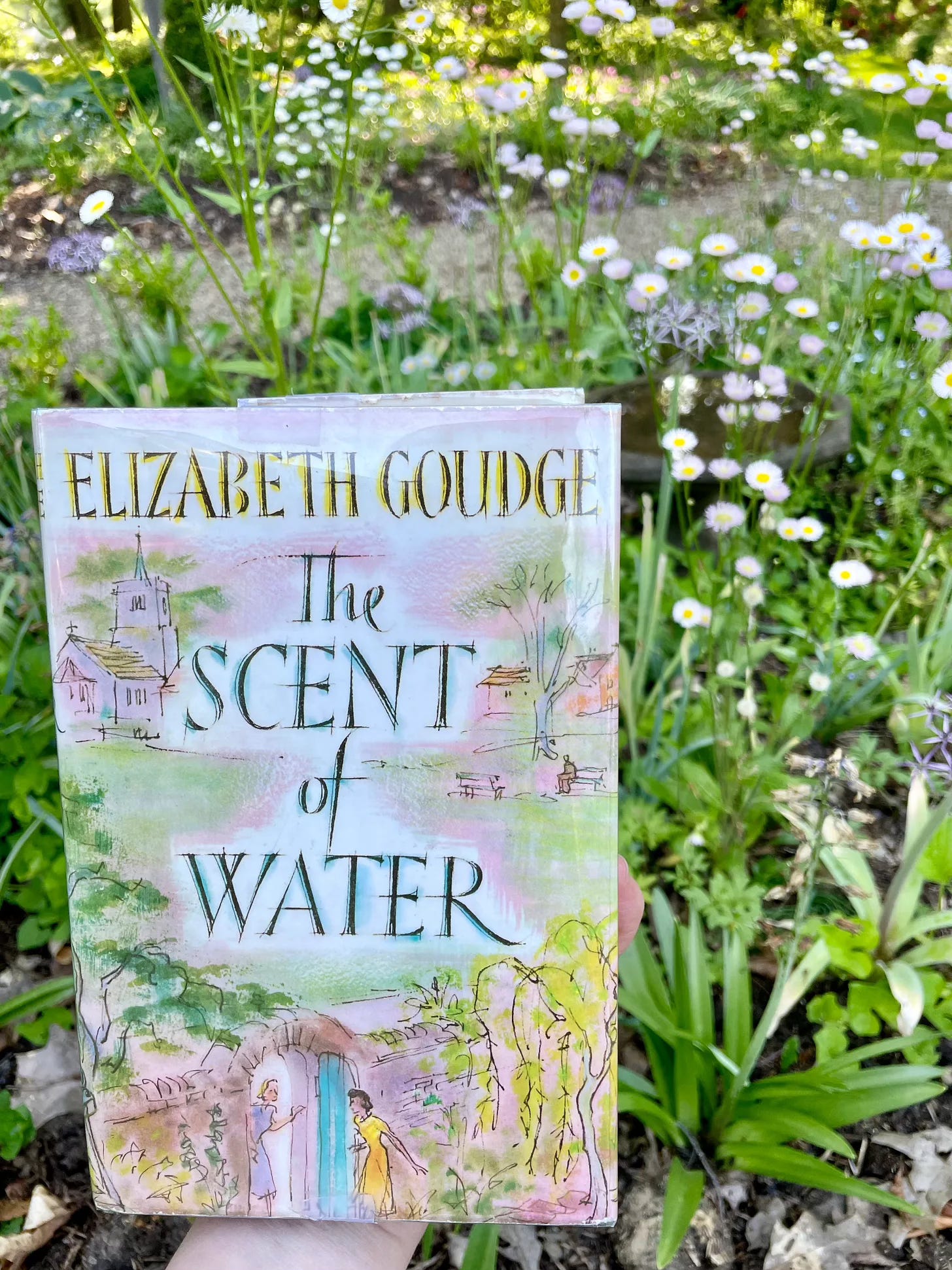 The Scent of Water by Elizabeth Goudge in our Entry Garden The Scent of Water by Elizabeth Goudge in our Entry Garden