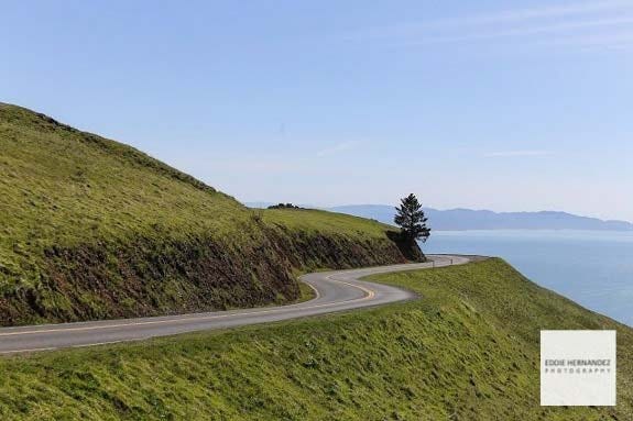 Mount Tamalpais Curvy Roads of Marin County