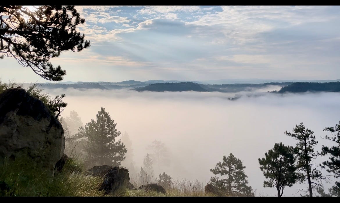 Photograph of a valley covered in a dense fog, surrounded by trees and rolling hills. The sky is cloudy, and the colors of nature are muted and calming in the indirect sunlight of morning.