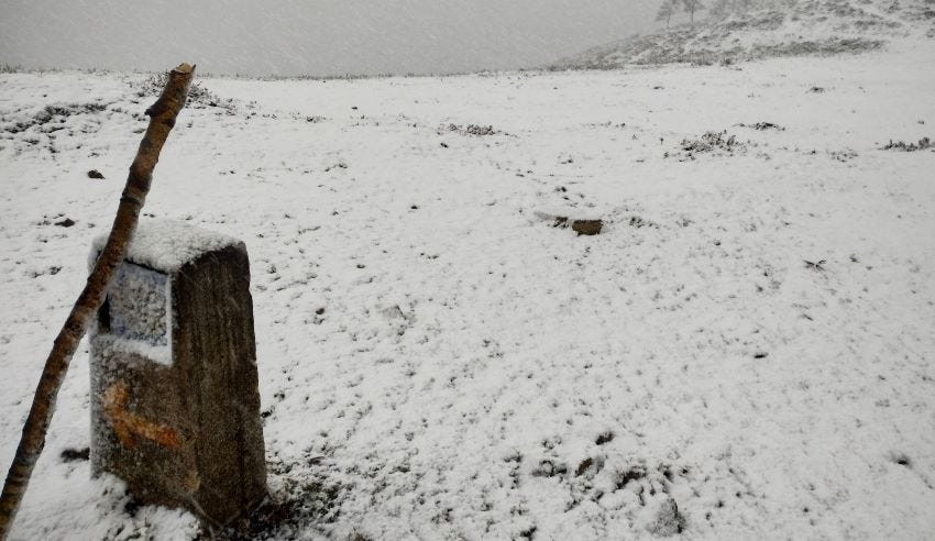 Mojón del Camino de Santiago Primitivo entre la nieve