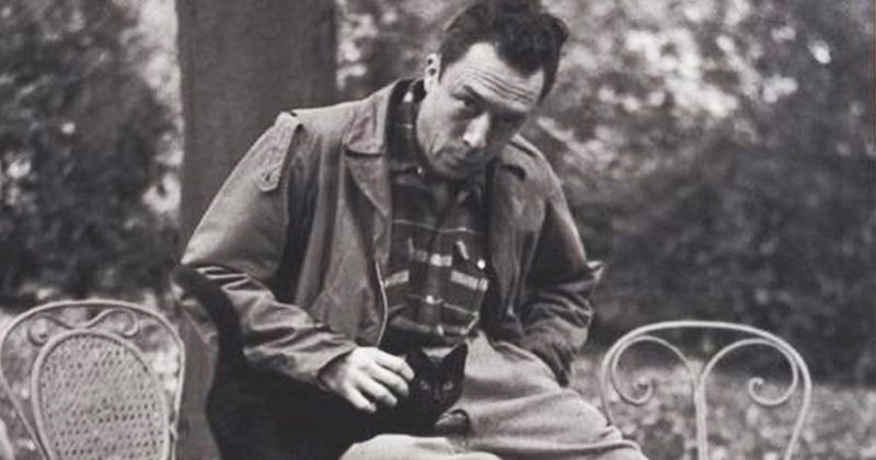 This is just a reminder that Albert Camus named his cat Cigarette, because  of course he did. ‹ Literary Hub