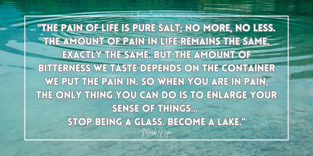 “The pain of life is pure salt; no more, no less. The amount of pain in life remains the same, exactly the same. But the amount of bitterness we taste depends on the container we put the pain in. So when you are in pain, the only thing you can do is to enlarge your sense of things… Stop being a glass. Become a lake.”