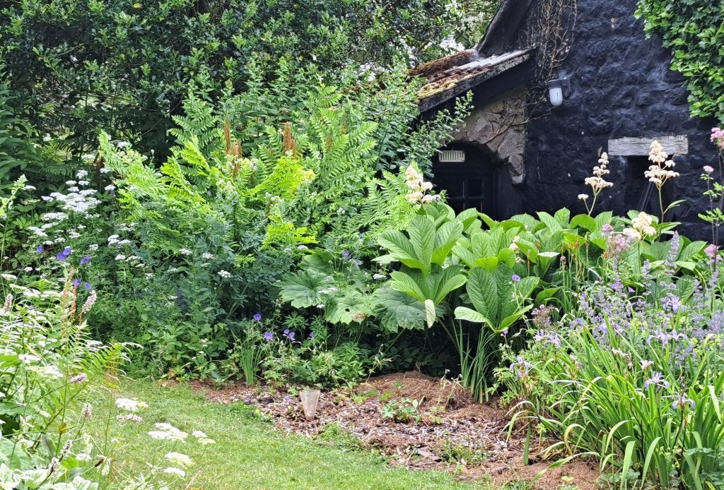 Planting by Terrace at Veddw Garden copyright Anne Wareham
