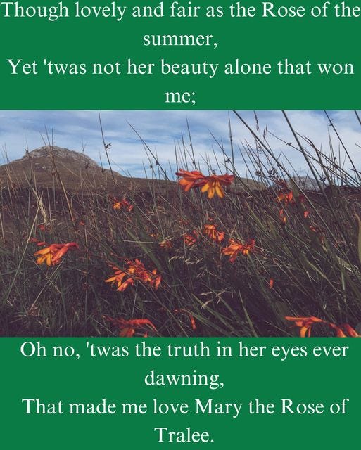 May be an image of text