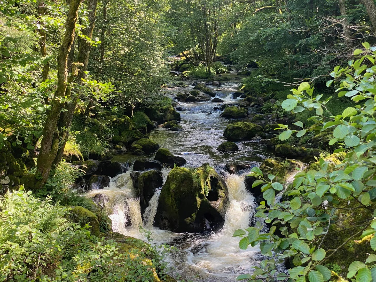 Ruisseau Ruisseau