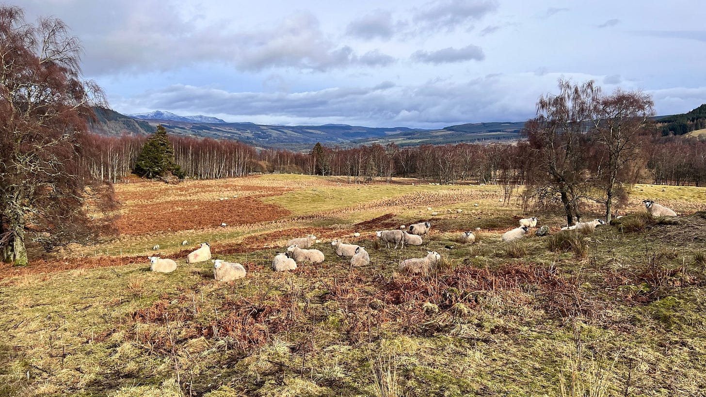 Despite the mud the views were splendid