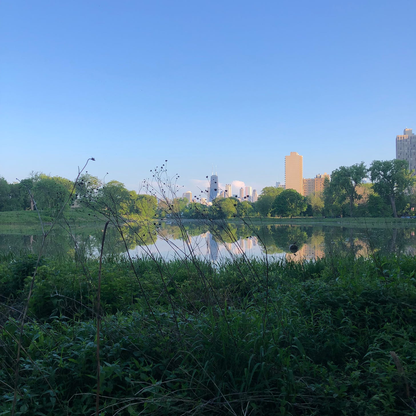 [view from north pond, may 2024]