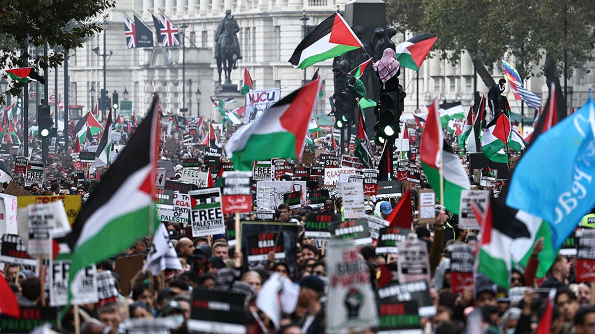 Watch live: Pro-Palestine protesters march in London…