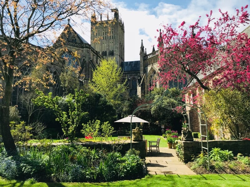 The south-facing garden of the Rib is in full sun during mid-day. It has the shade of Wells Cathedral in the west over it later in the day. Photo from NGS