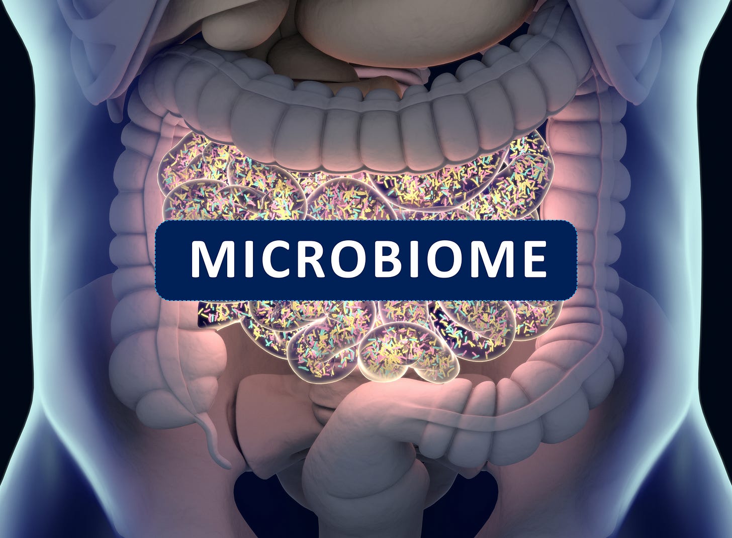 How to improve your gut microbiome for better digestive health — Insight Integrative Medicine