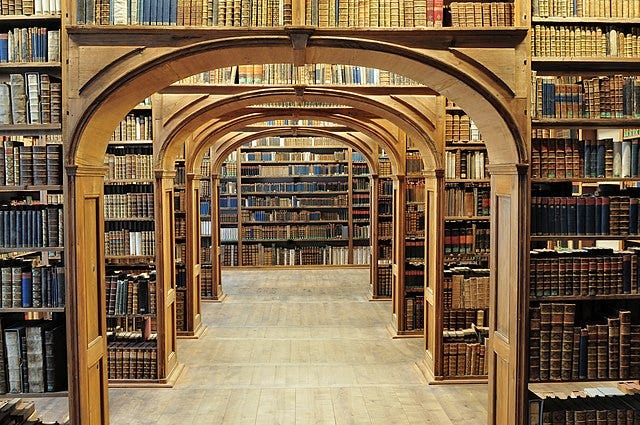 Photo of science library in Germany- you can see through several successive archways, with books on either side and above the arches