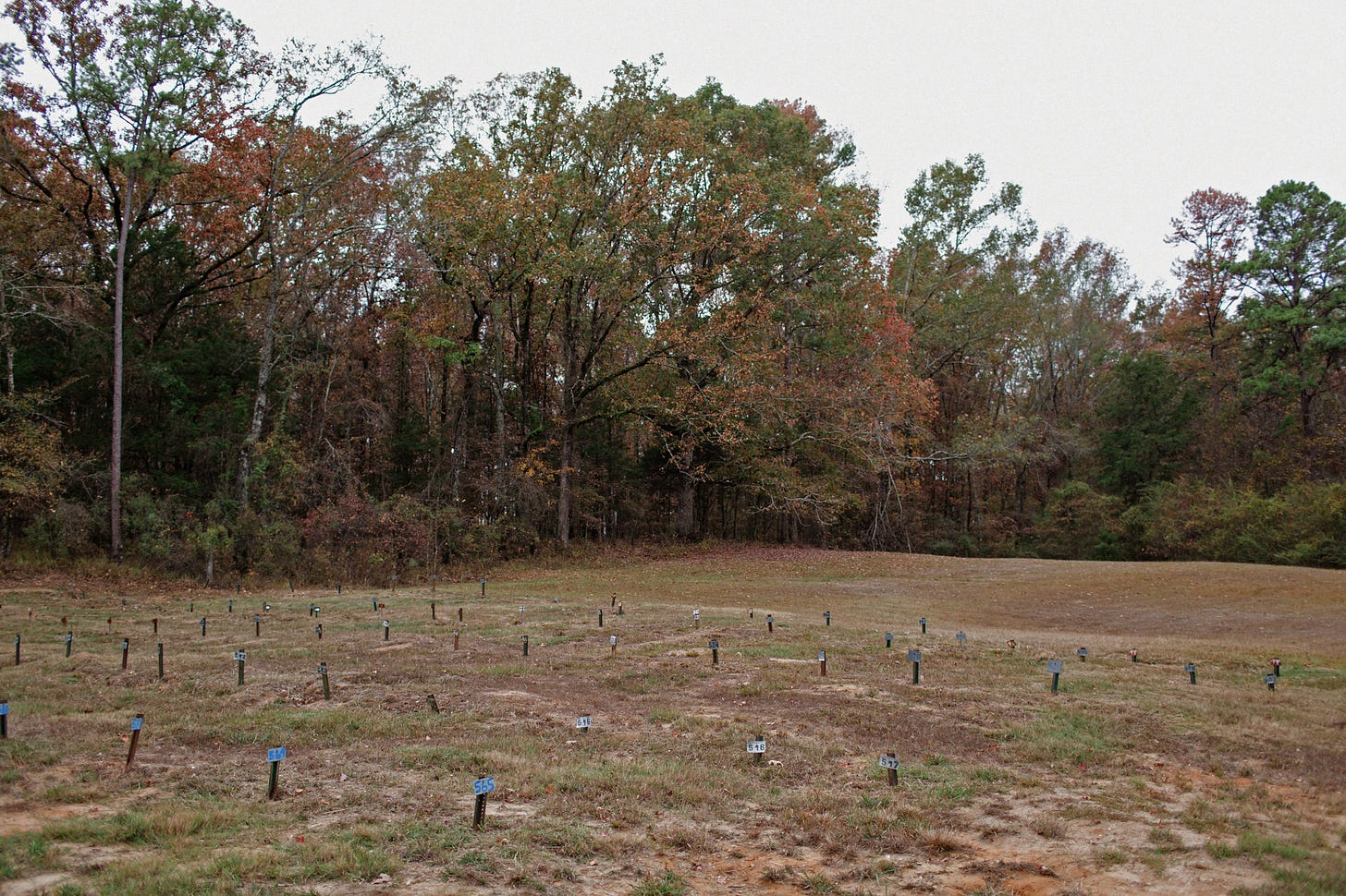 List: People buried in Hinds County's pauper's field near Jackson,  Mississippi, since 2016