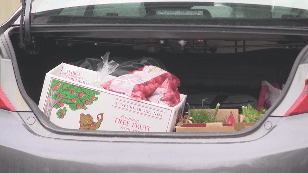 Cars line up for hours for pop-up food pantry at Dansville park