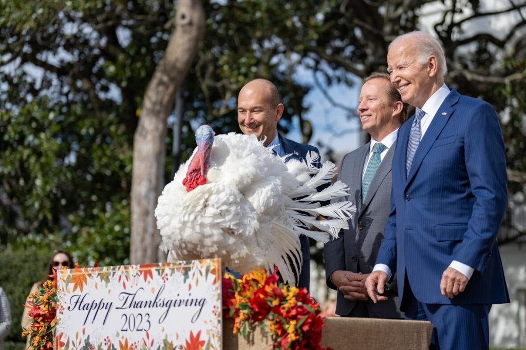 Biden pardons turkeys amid concerns about eating | TheFencePost.com