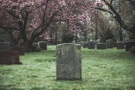Cemeteries vs Graveyards: What's the difference?